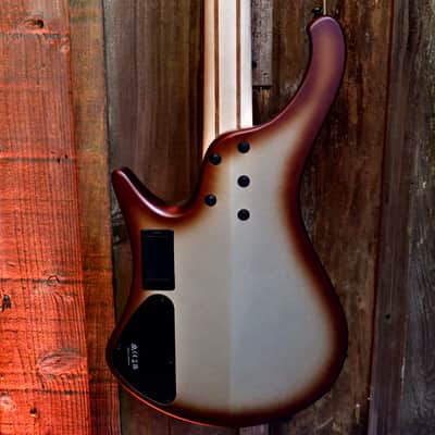 Ibanez EHB600-CCM Bass Workshop - Charred Champagne Burst Matte image 15