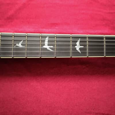 PRS SE Mark Holcomb 2017 - 2022 - Holcomb Burst image 6