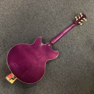 Jay Turser Semi-Hollow Body Electric Guitar with Tremolo image 6