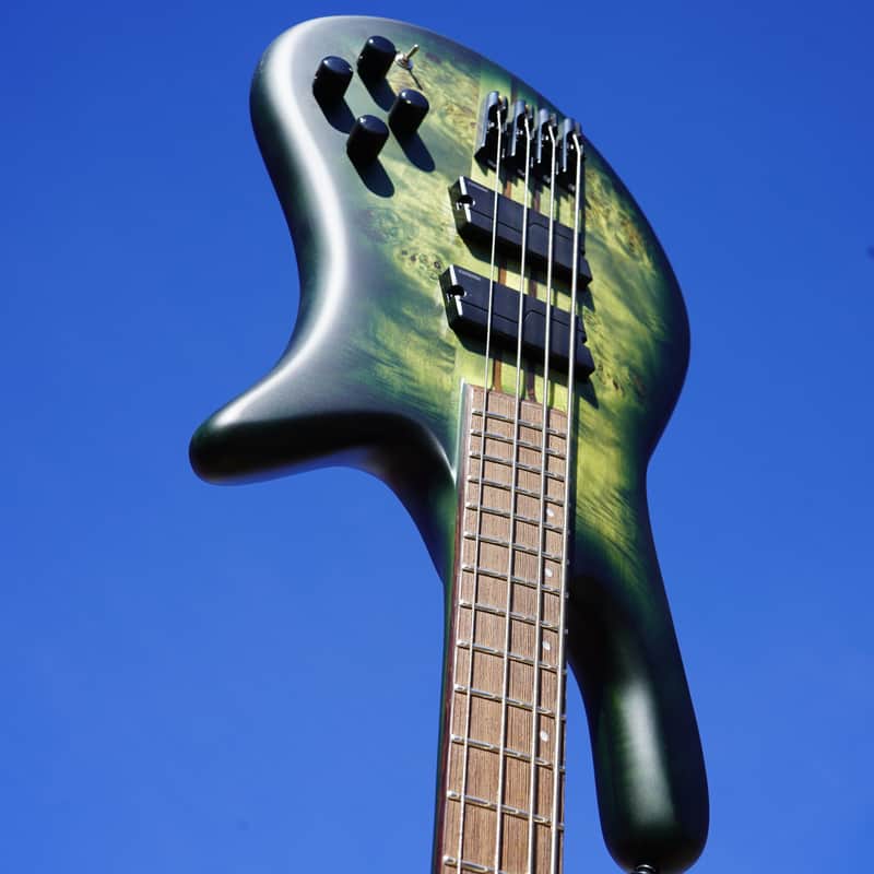 Spector NS Dimension 4 Multi Scale w/ Gig Bag - Haunted Moss Matte 4-String Bass image 1