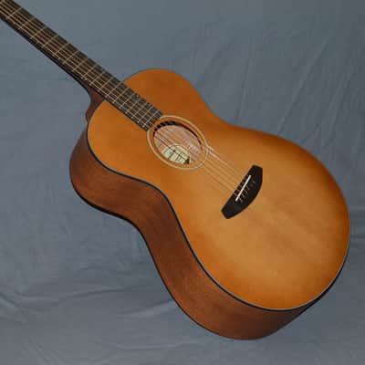 2019 Breedlove - Concerto E - Cinnamon Burst image 2
