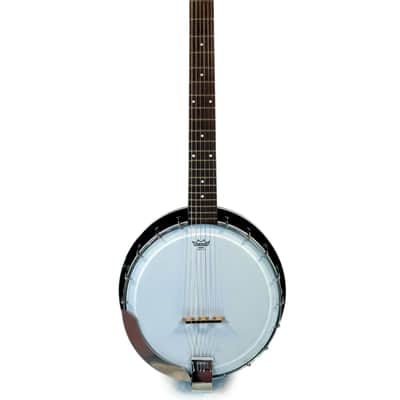 Banjo-Guitar EKO 1970's image 12