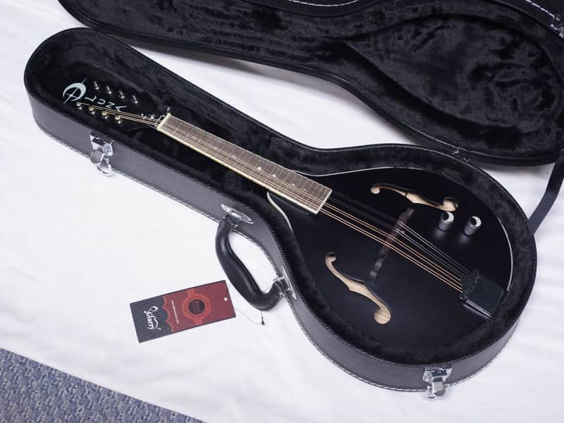 LUNA Moonbird A-style Mandolin NEW acoustic/electric Black Satin w/ Case image 1