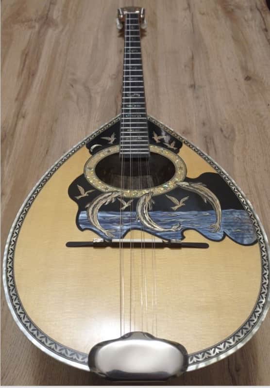 GREEK BOUZOUKI & HARDCASE & PICKUP & 300 BACKING TRACK WITH PDF SCORES 8 STRING 2020 - POLISHED image 1