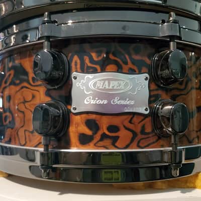 Mapex Orion 2008 - Chocolate Burl image 2