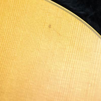 Godin Multiac Steel Duet Ambiance | Natural image 21