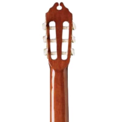 Washburn C5CE-A Classical Series Cutaway Acoustic Electric Guitar image 22