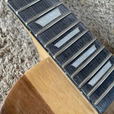 Harley Benton LP Style Semi Finished Guitar Project, Maple Neck, Rosewood Fingerboard image 16