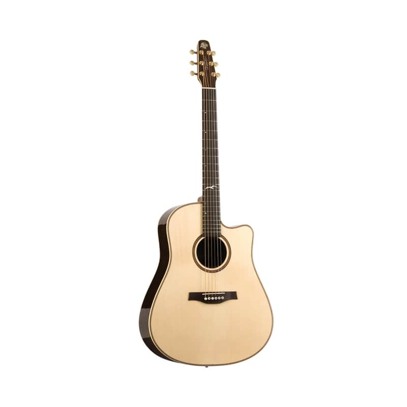 Seagull Artist Studio Deluxe CW with Electronics image 1