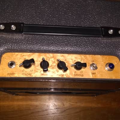Ashen Goldy 20 Watt Boutique Tube Amp Amplifier image 6