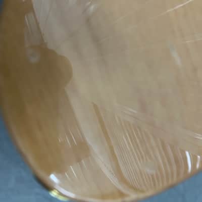 Allen Eden© Disciple 5 Standard Natural Gloss image 11
