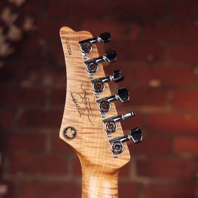 Agostin Classic S - With Master Grade Flamed Maple Neck, NAMM Demo! image 7