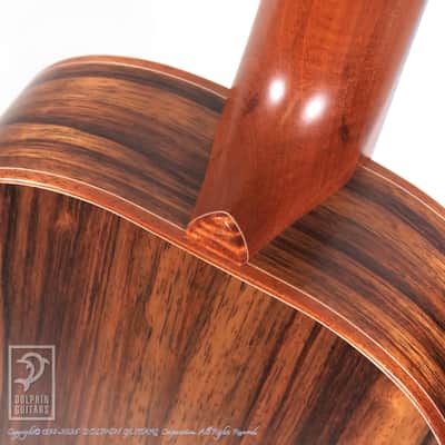 TODA GUITARS <MIJ>VB ALL Wild Mango 2026 image 14