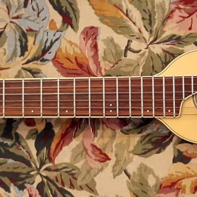 Washburn RO20 Nylon String Rover Travel Guitar - RARE - image 6