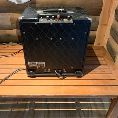 Polytone Mini-Brute IV image 2