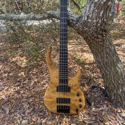Modulus Quantum 5 2006 Burl maple image 2