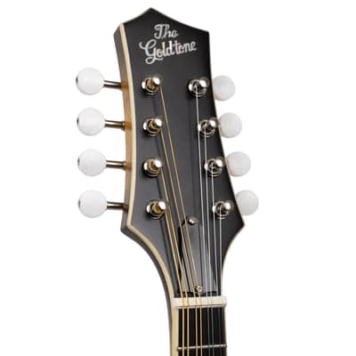 Gold Tone GM-55A A-Style Mandolin with Pickup image 6