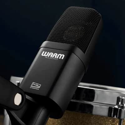 Warm Audio WA-14SP Stereo Pair Large-Diaphragm Transformer-Balanced Condenser Microphone image 7