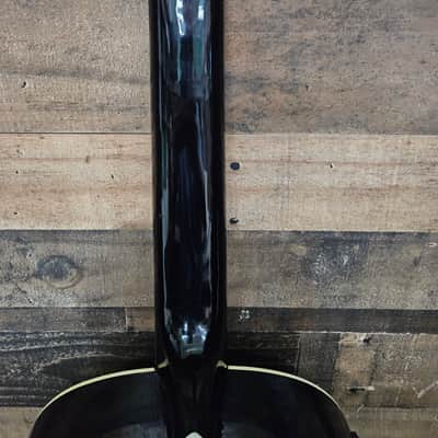 2007 Esteban Spanish Rosas Classical Electronic Acoustic Guitar - Floral image 11