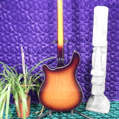 Italia Rimini 4 string BASS sunburst image 3