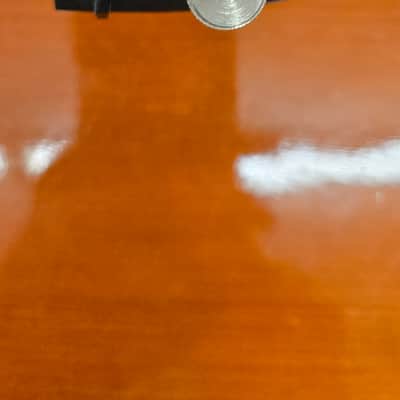 Strunal 40/4 Series 3/4 Cello Outfit Ready to Play image 19