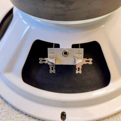 WGS 10"  ET10 speaker 2026 image 2
