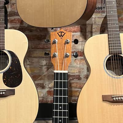 Twisted Wood EM600C with Pickup image 5