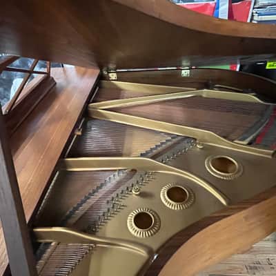 Baldwin M 1964 - Walnut image 12