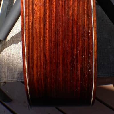 Larrivee D-19 12-String with Flying Eagle Headstock image 6
