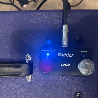 Bad Cat Bad Cat Lynx 50W Tube Head (Model BCP-2206) - Custom Amethyst Finish image 3
