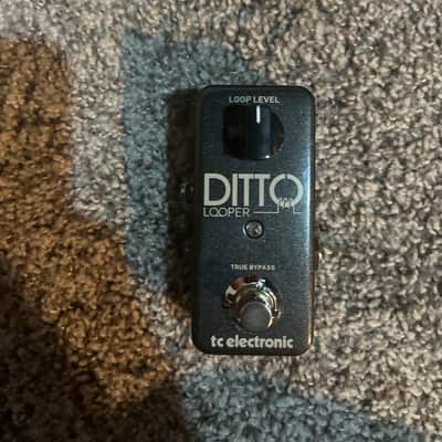 TC Electronic Ditto Looper 2013 - Present - Black image 1
