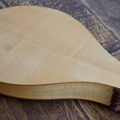 Renaissance Cittern image 12