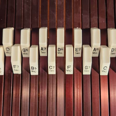 RBI Chrom-A-Harp Autoharp Sunburst image 3