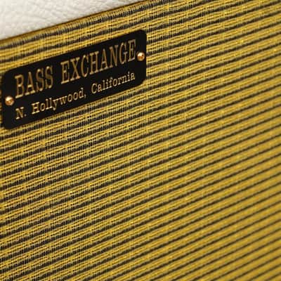 Ashen Bass Exchange 2x10 8ohm Speaker Cabinet Cream Fender Bassman #53712 image 12