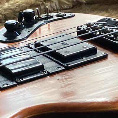 WAL Custom Bass 1982 image 23