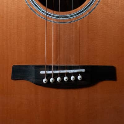 PRS SE A60E Angelus + Hard Case image 7