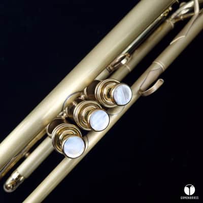 F. Besson MEHA made in France 0.470 bore trumpet case mouthpiece gamonbrass image 10
