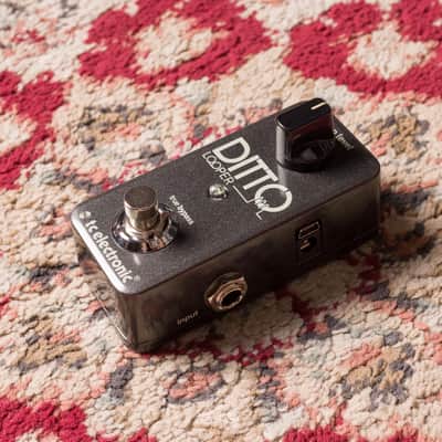 Immagine TC Electronic Ditto Looper #S180703973DD4 Second Hand - 5