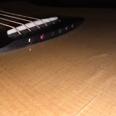 2020 Breedlove Premier Concerto CE USA Adirondack / East Indian Rosewood K&K image 10