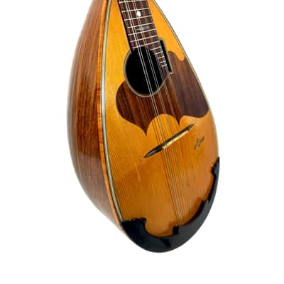 G. Kasermann Concert Mandolin (Apus Mark) 1920’s image 4