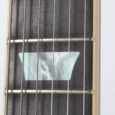 Gibson Adam Jones Les Paul Standard, Antique Silverburst | Demo image 10