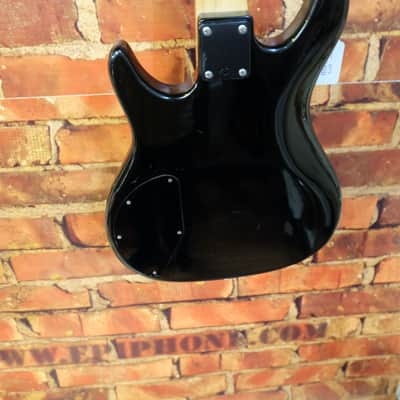Peavey Foundation  circa 1988 image 4