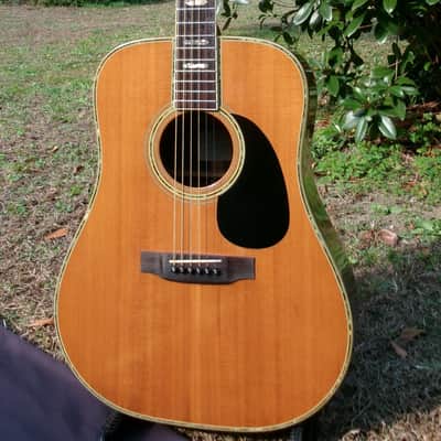 1979 Yairi YW800 B. Rosewood Jacaranda Japan Vintage - Natural+Vintage Martin Replica Hard Case by Tokai image 4