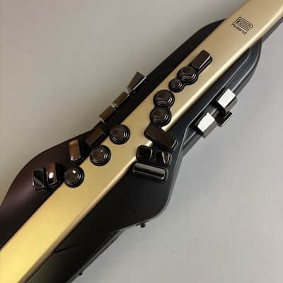 Roland AE-20SC image 3
