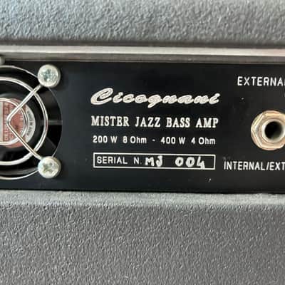 Cicognani Mister Jazz Bass Amp image 4