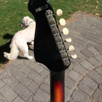 Supro Lexington Mid 60's Sunburst image 7