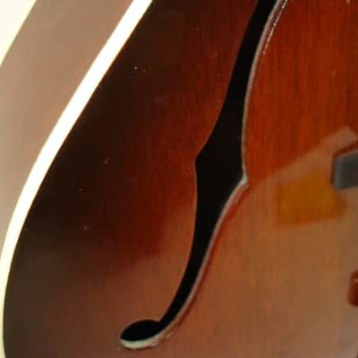 Vintage Acoustic Mandocello Archtop, Vintage Sunburst with Case image 7