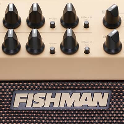 Fishman Loudbox Performer image 5