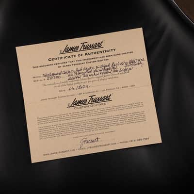 James Trussart SteelGuardCaster Rust O Matic Pinstriped - Black image 21