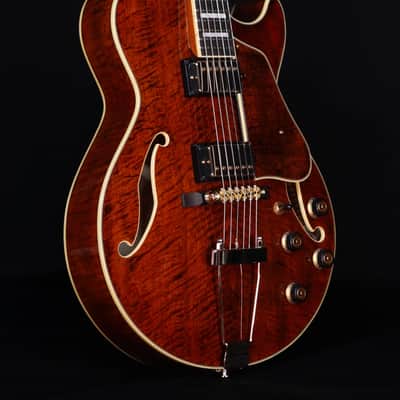 Ibanez AG95MGDA, AG Expressionist, Mango top/back/sides, Gold Hardware image 4